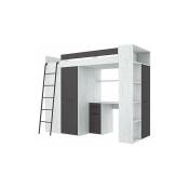Armoire de lit mezzanine échelle pour enfants verana l cm190x120x236h graphite blanc