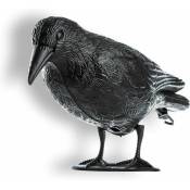 Corbeau Noir, répulsif à Pigeons et répulsif à