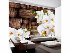 Papier peint intissé fleurs blooming orchids taille