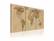 Tableau - carte du monde en beige et brun-120x60 A1-N2014-DKX