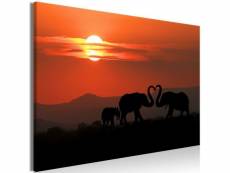 Tableau elephants in love (1 part) wide taille 60 x 40 cm PD10127-60-40