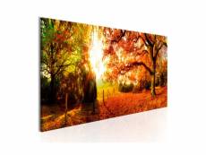 Tableau - magic of autumn-150x50 A1-N6537-DK150