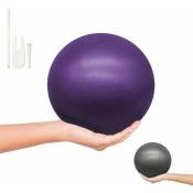 Lot de 5 ballons de fitness pour pilates, gymnastique, diamètre 25 cm - Violet Vivezen Violet