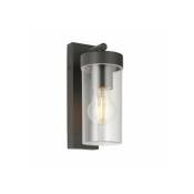 Saxby Lighting - Lanterne de jardin Hayden Polycarbonate,Acier inoxydable Anthracite gris,plastique transparent 23 Cm - Gris