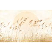 Papier peint panoramique Dune Grass - 400 x 250 cm de Komar sable beige