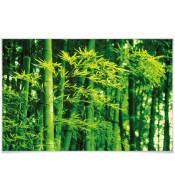 Poster xxl Bamboo Forest Asian Nature Grande poster