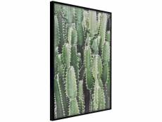 Tableau cadre plantation de cactus A1-POSTERprp0664s_cr