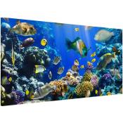 Tableau magnétique - Underwater Reef - Format paysage 37cm x 78cm Dimension: 37cm x 78cm