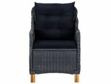 Vidaxl chaises de jardin avec coussins 2 pcs résine tressée gris foncé 313316