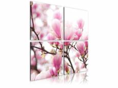 Tableau fleurs magnolia fleurissante taille 80 x 80