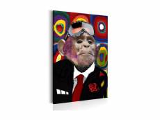 Tableau - mr. Monkey-60x90 A1-N6443