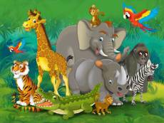 Jungle animals, photo murale, 360x255 cm, 4 parts