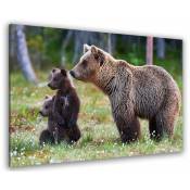 Tableau animaux ourse brune et son ourson - 80x50 cm - Marron
