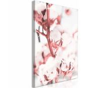 Tableau Blooming Cotton Vertical - 40 x 60 cm - Marron, Blanc