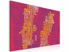 Tableau cartes du monde carte de la suède sur fond rose - triptyque taille 60 x 40 cm PD11648-60-40