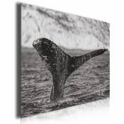 Tableau noir et blanc majestueuse baleine, 80x50cm
