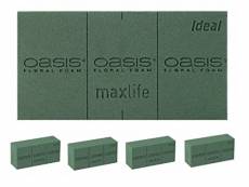 4 x Oasis® Ideal Briques de Mousse pour Fleurs fraîches,