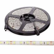 Bande de 60 LEDs/M 100W 6.900Lm 6000ºK SMD5054 12VDC IP65 x5M 30.000H [CA-60-5054-12-IP65-CW] | Blanc froid (CA-60-5054-12-IP65-CW)