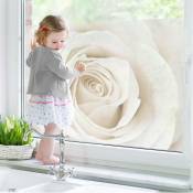 Image de fenêtre Jolie White Rose - Dimension: 21cm x 31cm