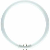 Osram tube fluorescent circulaire - osram lumilux t5 - 55 watts - 2gx13 - 3000k