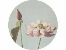 Papier peint panoramique rond adhésif fleur de lotus