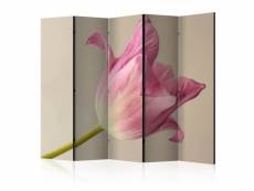 Paris prix - paravent 5 volets "pink tulip" 172x225cm