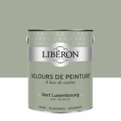 Peinture murs plafonds et boiseries Velours de peinture vert luxembourg Liberon 2 5L