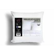 Soleil D Ocre - Oreiller confort anti-acarien 60x60 cm - Blanc