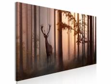 Tableau morning (1 part) narrow brown taille 120 x 40 cm PD10076-120-40