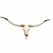 Déco crâne de vache tête de taureau trophée longhorn