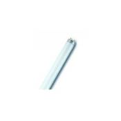 Sanitaire Service - Radium 31119104 Lampe fluorescente Spectralux®Plus NL-T8 36W/865/G13