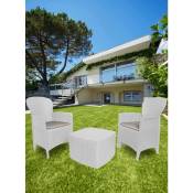 Altri - Ensemble de jardin avec coussins, 2 fauteuils et 1 table conteneur d'extérieur, Made in Italy, couleur blanche