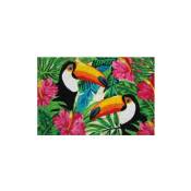 Idmat - Tapis coco blanchi toucans / pvc 40x60 cm