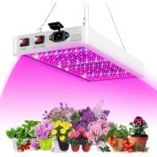 Lampe de croissance LED pour plantes d'intérieur 2000W