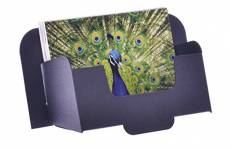Stand-store Card-a6l Carton distributeurs de Brochure pour A6 paysage brochures et cartes postales – Noir (Lot de 50)