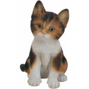 Vivid Arts - Chaton en résine 20 cm Kitten - Ecaille