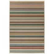 Hellocarpet - Tapis rayé plat extérieur et intérieur multicolore Spectro Multicolore 120x170 - Multicolore