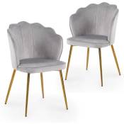 Mobilier Deco - duchesse - Lot de 2 chaises design en velours gris - Gris