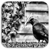 Monocrome, bel oiseau noir sur la pelouse de jardin,