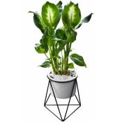 Tlily - Pots de jardiniere interieure 6 pouces Bol rond en ceramique de jardin moderne avec Support de plante d'air en metal pour Planteur