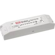 Driver led Mean Well PLC-30-24 24 v dc 1,25 a