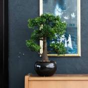 Maison du'Monde - Mini bonsaï Ficus artificiel Vert