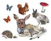Sticker Les animaux 1 / Lot de 8 stickers - Domestic multicolore en papier