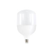 Ampoule led E27 T100 30W Blanc Froid 6500K Iluminashop