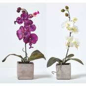 Homescapes - Lot de 2 orchidées artificielles en pot