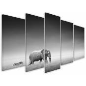 Hxadeco - Tableau 5 parties animaux elephant suivi - 150x80 cm
