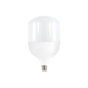 Iluminashop - Ampoule led E27 T100 30W Blanc Froid