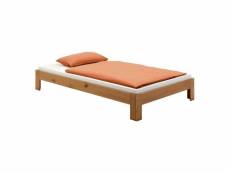 Lit futon thomas couchage simple 120 x 200 cm 1 place