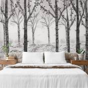 Papier peint panoramique paysage forêt de bouleau noir et blanc 150x25