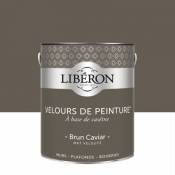 Peinture murs plafonds et boiseries Velours de peinture marron brun caviar Liberon 2 5L